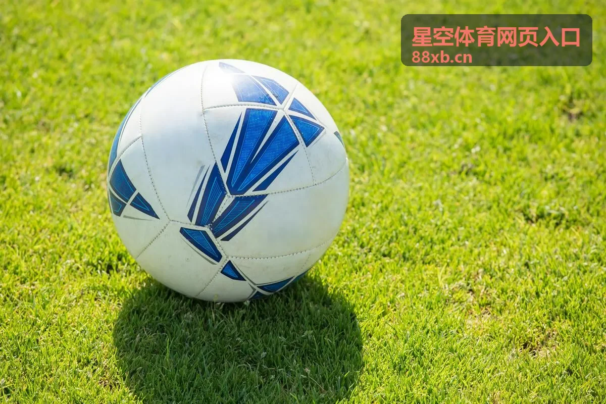 星空体育网页入口会员高清赛事直播