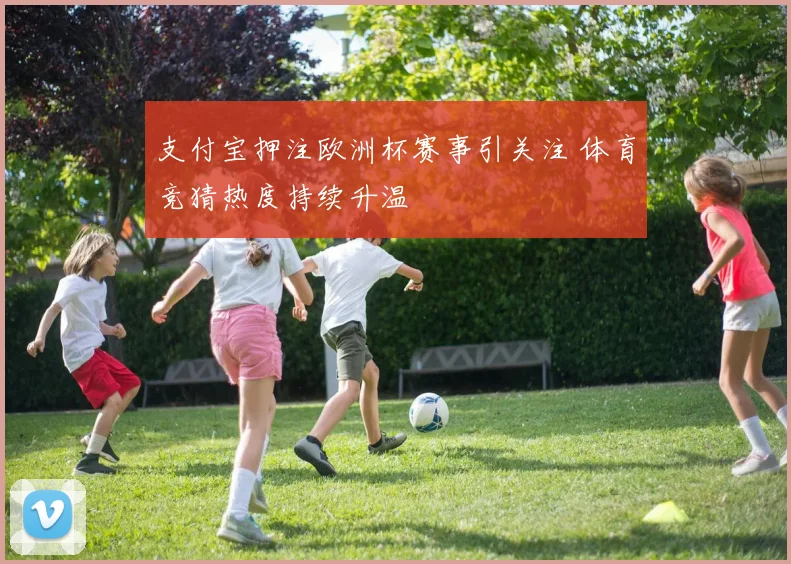 支付宝押注欧洲杯赛事引关注 体育竞猜热度持续升温