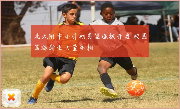 北大附中小升初男篮选拔开启 校园篮球新生力量亮相